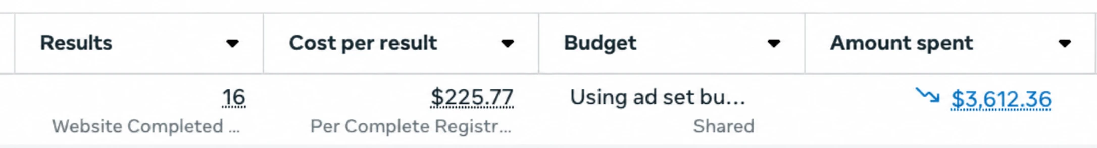 Meta Ads Manager: 16 website completed registrations at $225.77 per result, $3,612.36 spent